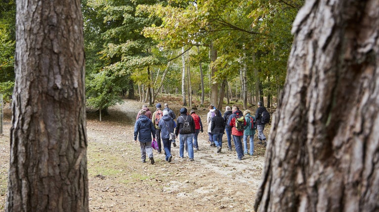 Visitors on a guided nature walk
